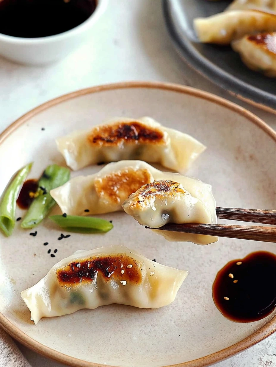 Une bouchée de Gyozas aux légumes